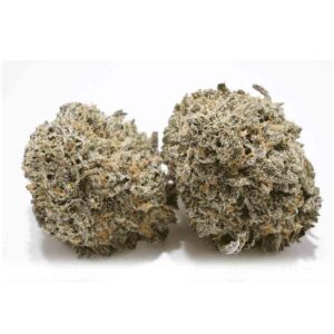 Blueberry Skunk Weed Strain