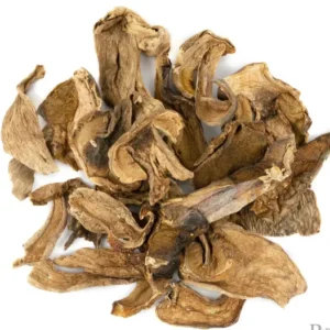 PORCINI DRIED MUSHROOM UK